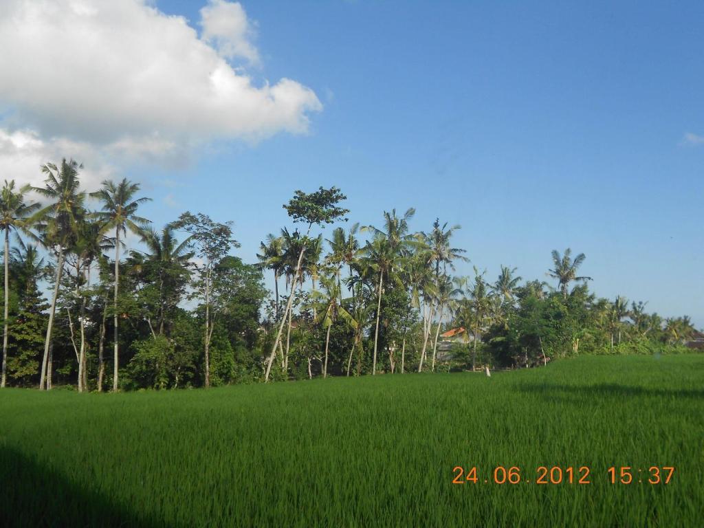 Villa Jasmine B&B Ubud (Bali) Room photo